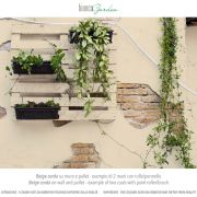 Beige corda bG min