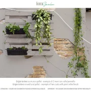 Grigio tortora bG min